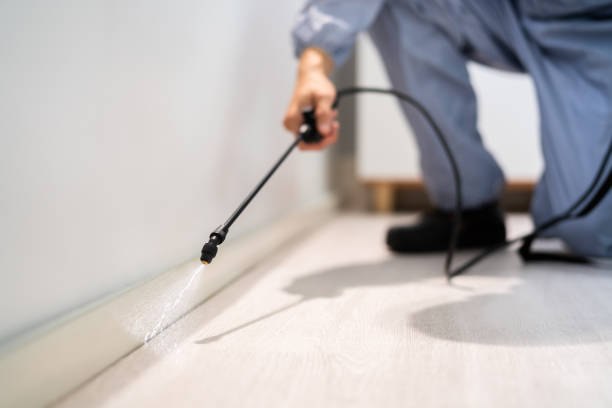 Licensed Termite Control service in Boulevard Gardens, FL - Nex Pest Control
