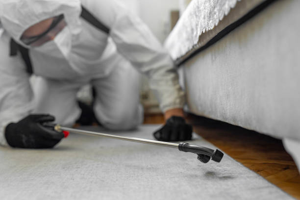 Professional Termite Control technician working in Boulevard Gardens, FL