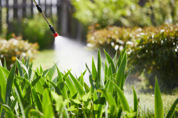 24/7 Emergency Termite Control experts in Boulevard Gardens, FL