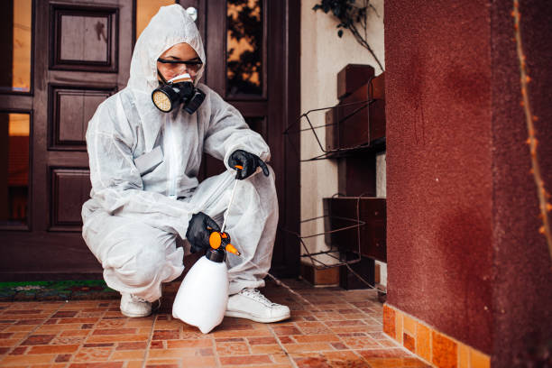 Reliable Termite Control contractor in Boulevard Gardens, FL by Nex Pest Control