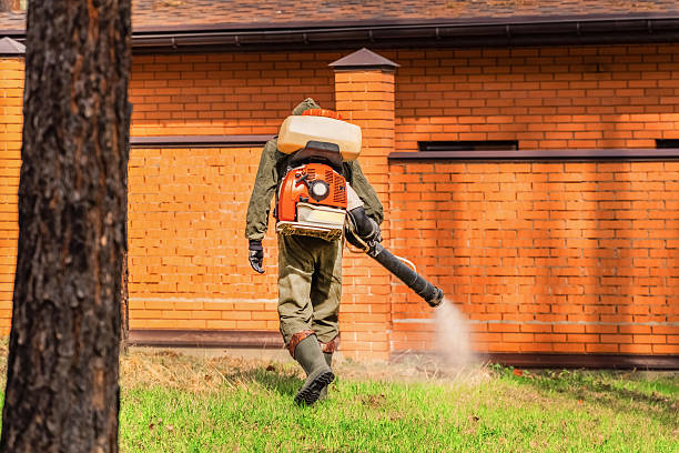 Trusted Mosquito Control service in Boulevard Gardens, FL - Nex Pest Control